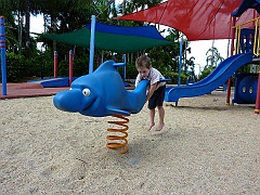 Cairns-Coconut-Resort024