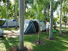 Cairns-Coconut-Resort034