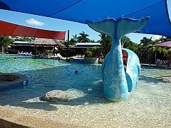 Cairns-Coconut-Resort039