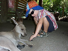 Cairns070