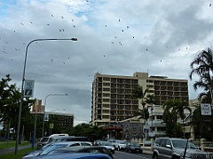 Cairns53