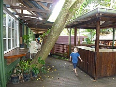 Cairns046