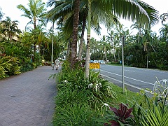 Cairns090