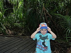 Cairns106