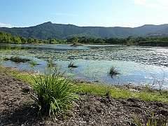 Cairns026