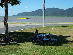 Cairns039