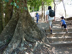 Cairns096