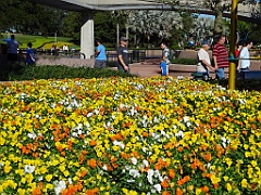 Disney064