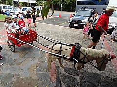 Cairns034