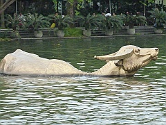 Hangzhou053