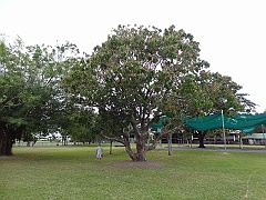 Cairns031