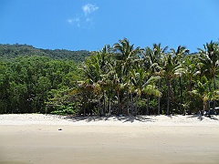 Cairns028