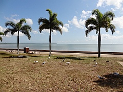 Cairns047