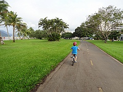 Cairns100