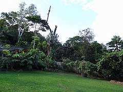 Cairns035