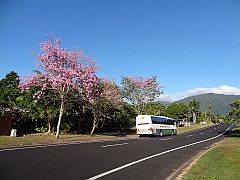 Cairns142