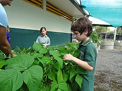 Cairns033