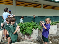 Cairns034