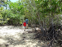 Innisfail-Atherton030