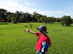 Innisfail-Atherton045