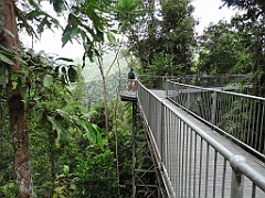 Innisfail-Atherton067