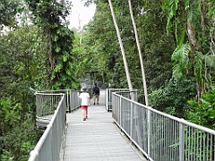 Innisfail-Atherton071