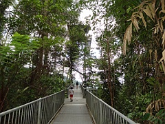 Innisfail-Atherton076