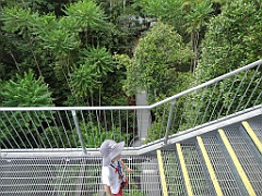 Innisfail-Atherton086