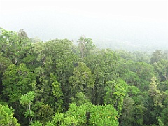 Innisfail-Atherton090