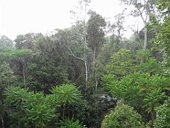 Innisfail-Atherton091