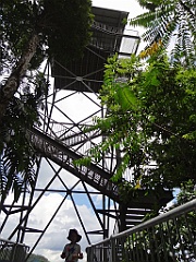 Innisfail-Atherton108