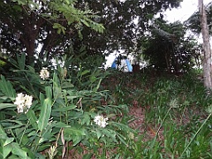 Innisfail-Atherton160