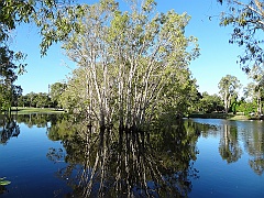 Cairns018