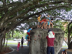 Cairns026