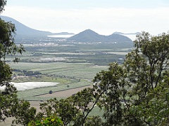 Cairns035