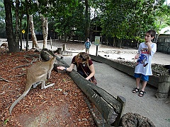 Cairns038