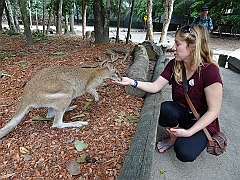 Cairns040