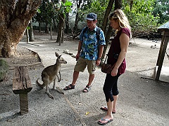 Cairns045