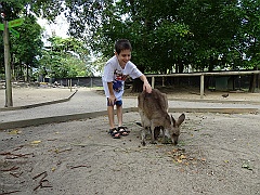 Cairns052