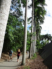 Cairns057