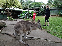 Cairns021