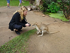 Cairns025