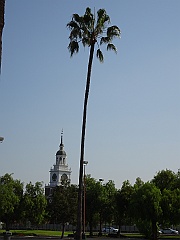 Los-Angeles098