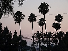 Los-Angeles161