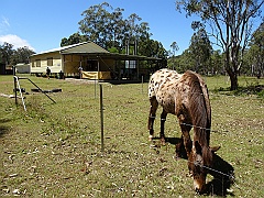 Cairns007