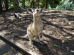 Cairns125