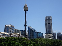 Sydney246