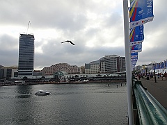 Sydney033