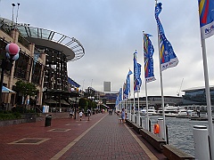 Sydney035