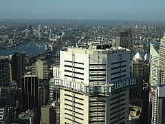 Sydney259